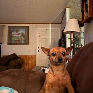 Meet your Posher, Renee